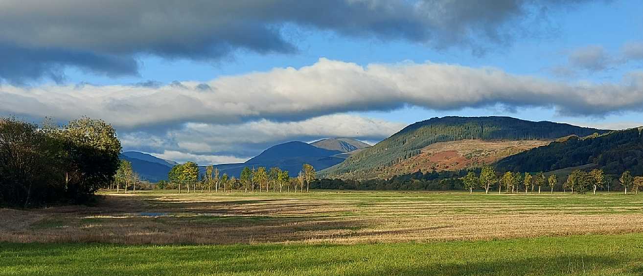 audreyslorance banner image (4)